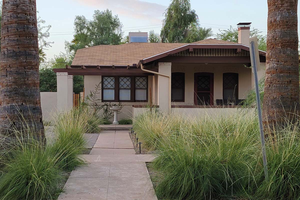 Songbird meadow streetview